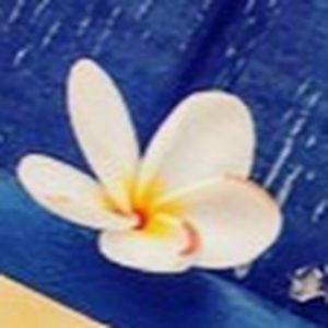 Meet your Posher, Isabella